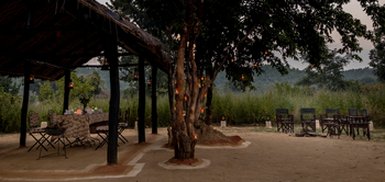 Kings Lodge: Schattendach