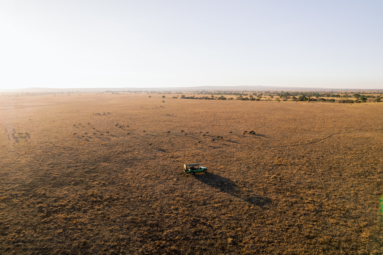 Olkeri Camp Olkeri Camp: Weites Grasland