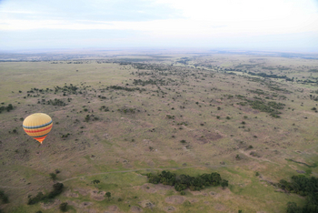 Richard's River Camp: Balloon Safari