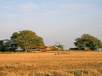 Shumba Camp Shumba Camp: Pukus vor dem Camp