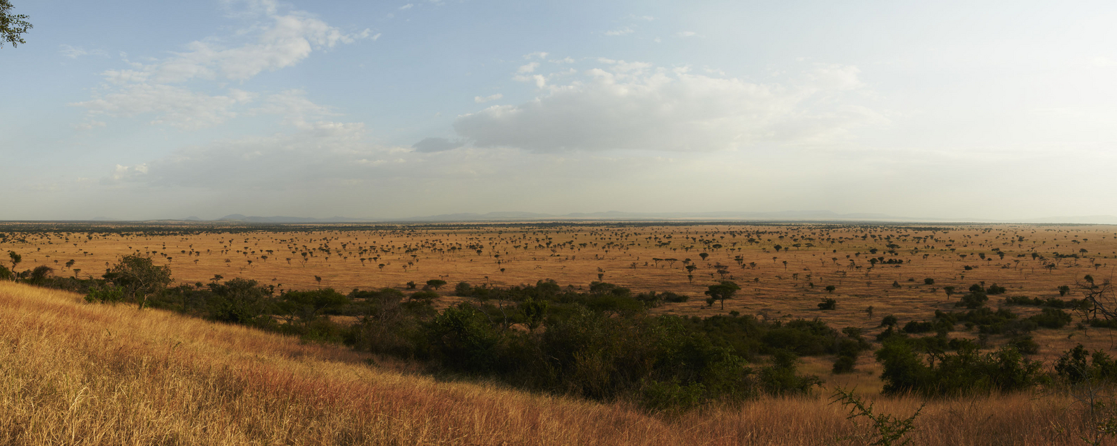 Sinigita Grumeti Game Reserve Sinigita Grumeti Game Reserve: Weites Grasland