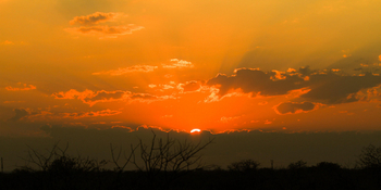 Taleni Etosha Village: Sonnenuntergang