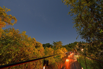 Zambezi Mubala Lodge: Nacht auf dem Lodgegelände