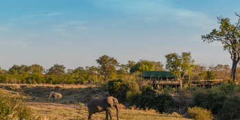 Deteema Springs Camp: Elefanten vor dem Camp