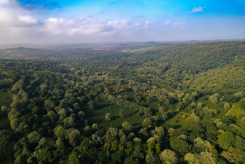 Gibb's Farm: Landschaft