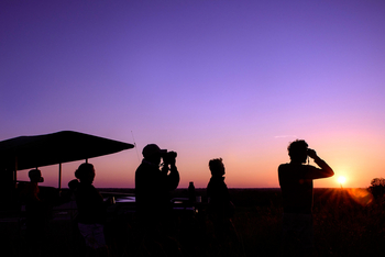 Ila Safari Lodge Ila Safari Lodge: Game Drive