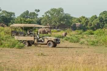 Kafunta River Lodge: Game Drive vor der Lodge