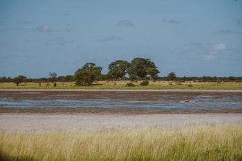Migration Expeditions Camp Migration Expeditions Camp: Nasse Pfanne