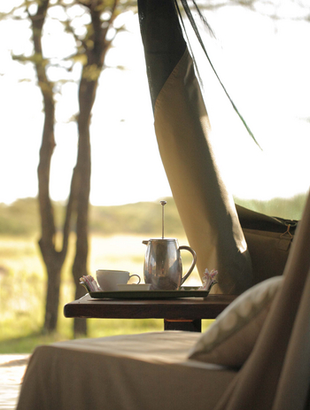 Richard's River Camp: Luxury Tent