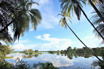 Thorntree River Lodge Thorntree River Lodge: Flusslandschaft