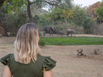 Three Rivers Camp Three Rivers Camp: Elefanten im Camp