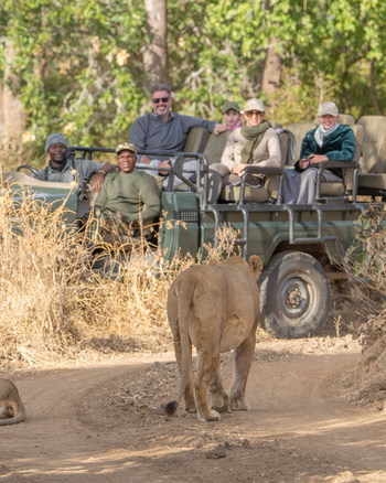 Time + Tide South Luangwa Time + Tide South Luangwa: Game Drives