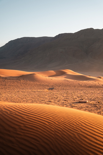 Wolwedans Desert Lodge: Dünen und Berge