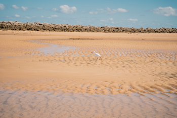 Azura Benguerra Island: Düne und Strand