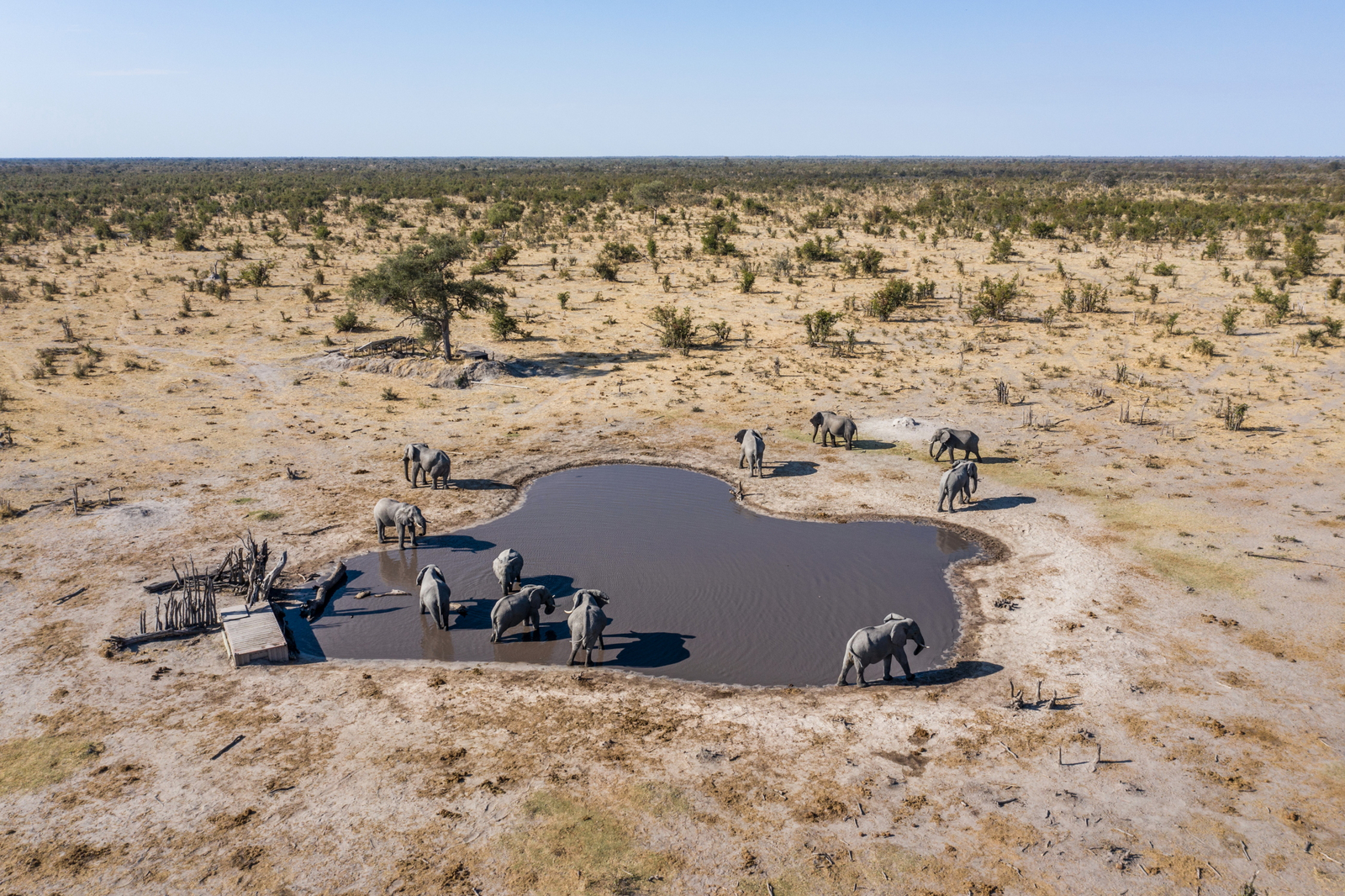 Elephant Pan Camp Elephant Pan Camp: Beobachtungsunterstand
