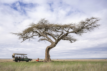 Governors' Mugie: Akazie