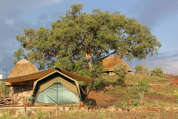 Kidepo Savannah Lodge: Safarizelt vor Baum