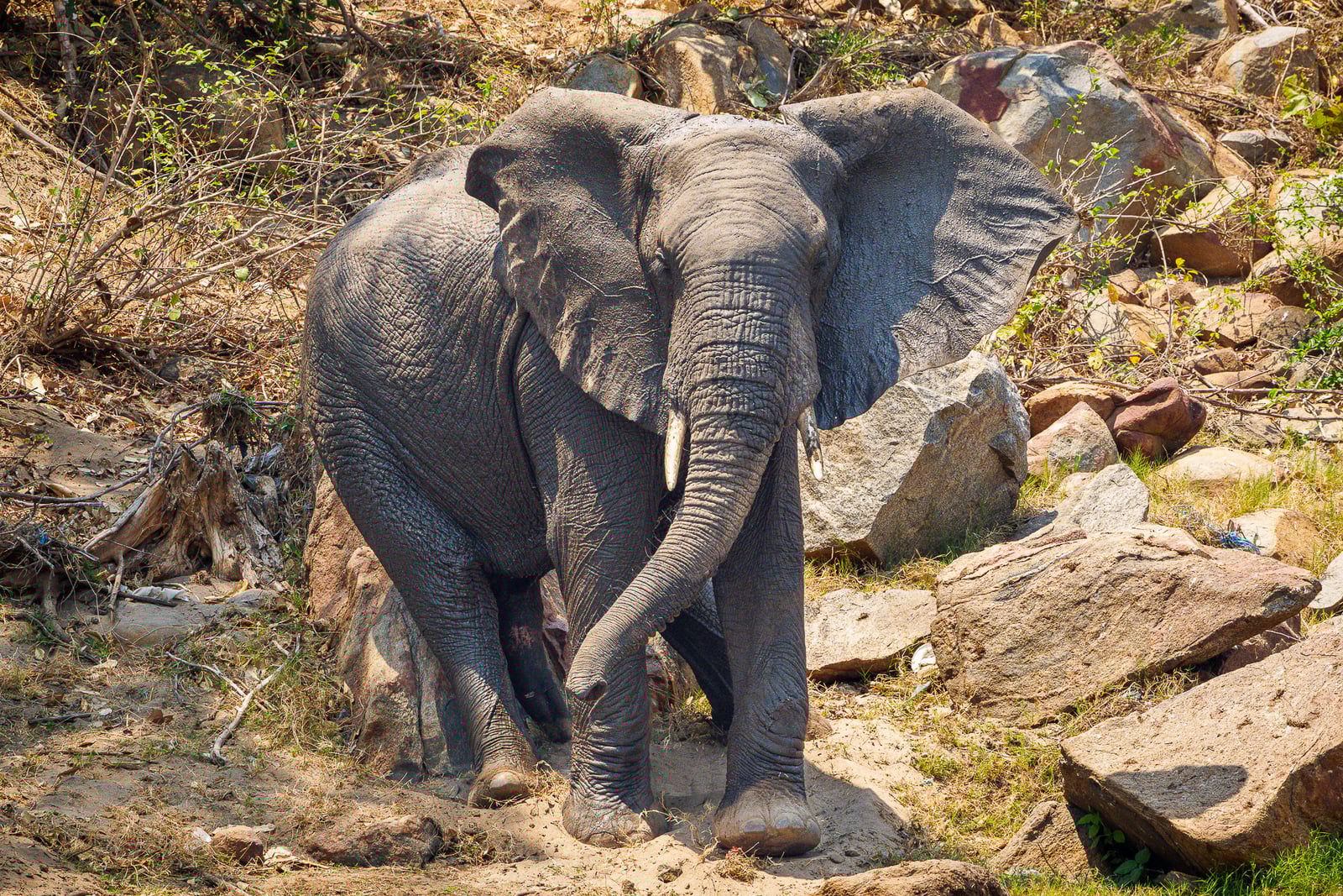 Mkulumadzi Lodge Mkulumadzi Lodge