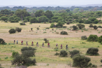 Mashatu Game Reserve: Cycling durch offene Vegetation