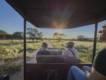 Ohorongo: Game Drive