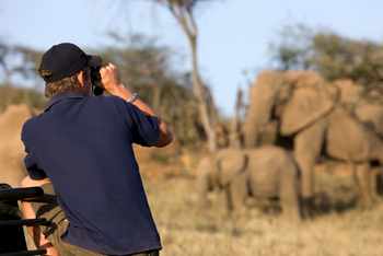 Ol Malo Lodge: Game Drive