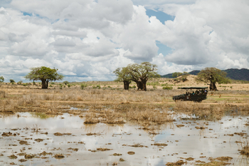 Ruaha River Lodge: Sumpf