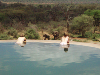Sarara Camp: Gäste im Pool