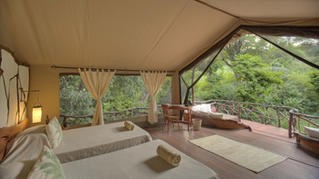 Sarara Tree: Einzelbetten