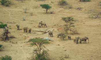 Saruni Samburu: Underground Hide