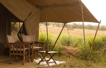 Serengeti Safari Camp: Regiesessel