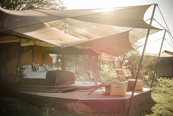 Siringit Migration Camp: Vordach