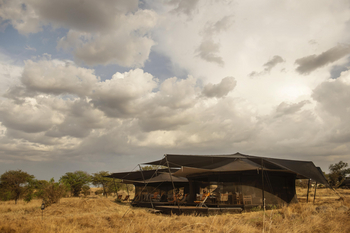 Siringit Migration Camp: Zeltpanorama