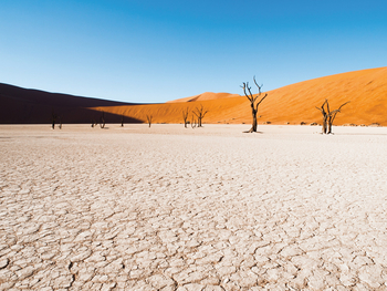 andBeyond Sossusvlei Desert Lodge: Dead Vlei