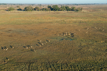 Busanga Bush Camp: Luftbild