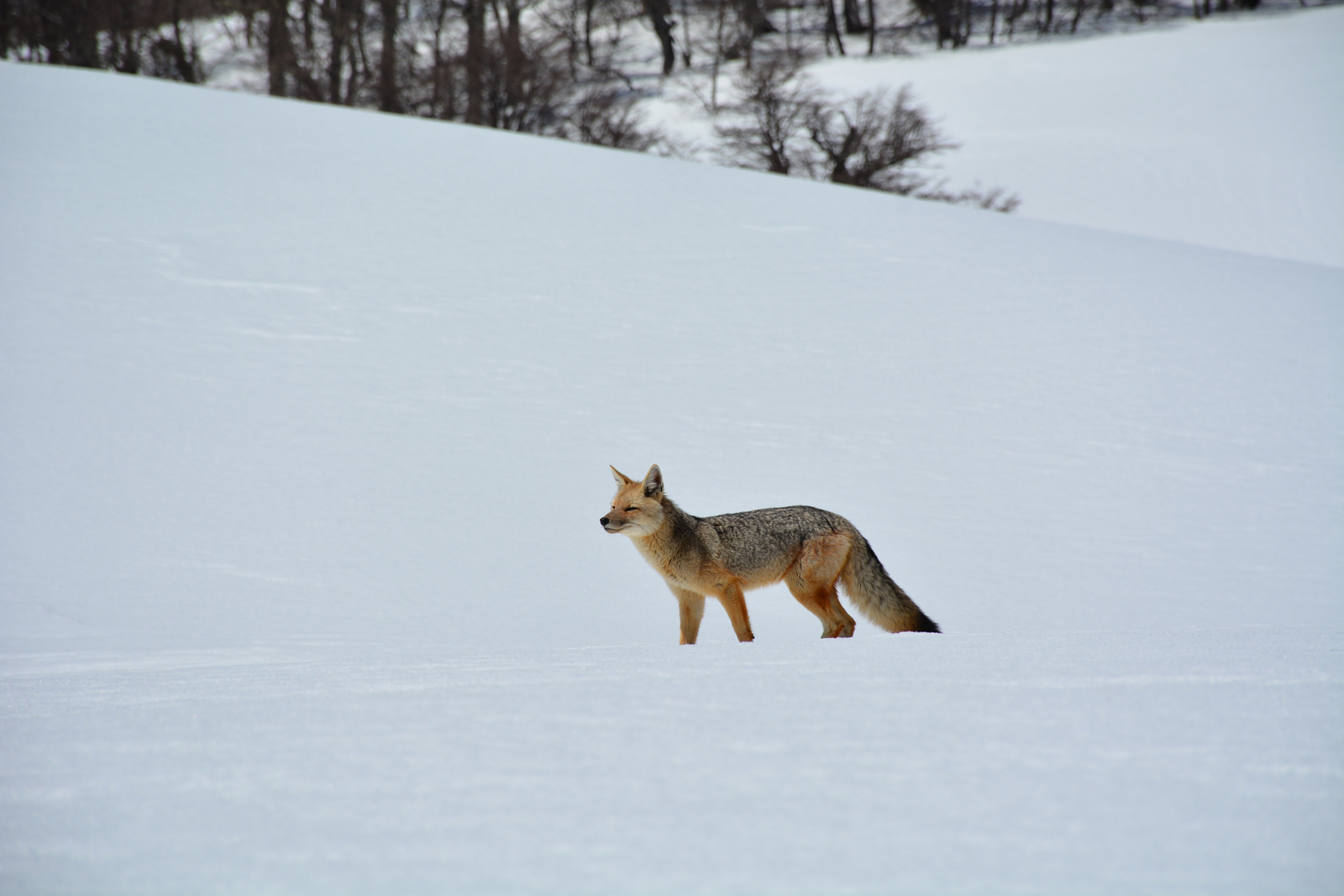 andBeyond Vira Vira Lodge andBeyond Vira Vira Lodge