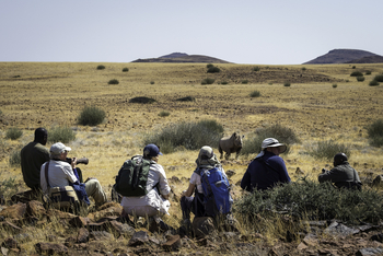 Desert Rhino Camp Desert Rhino Camp: Begegnung mit einem Black Rhino