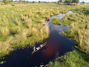 Duba Explorers Camp: Mokoroausflug