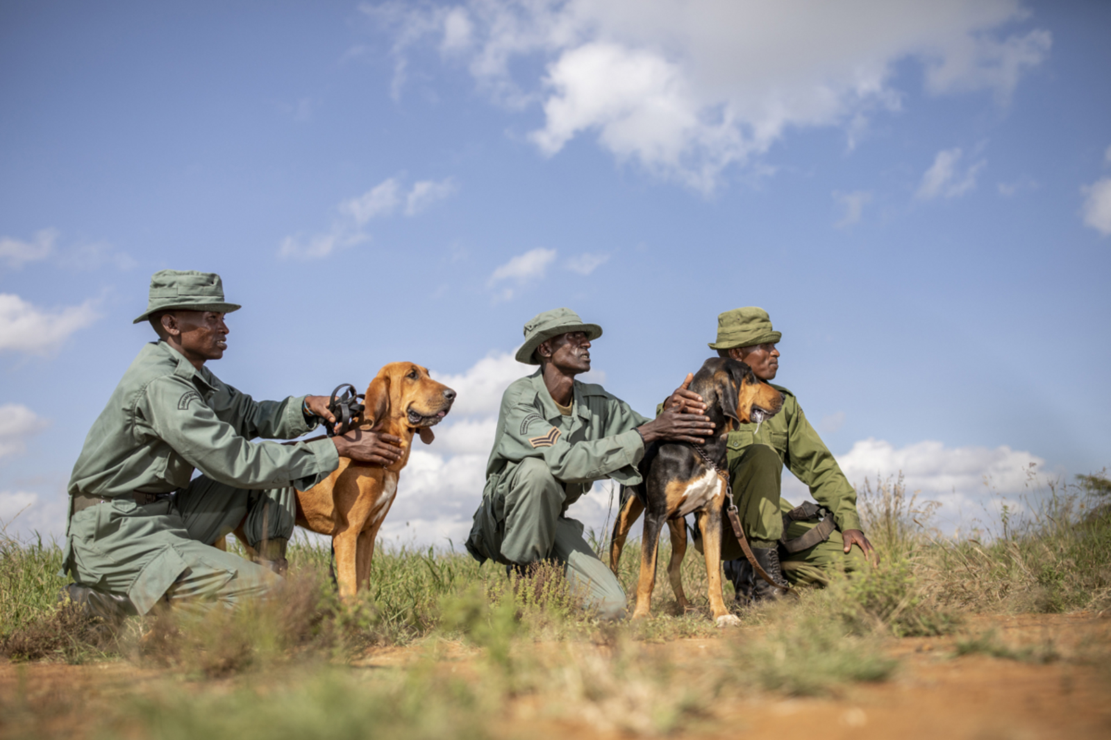 Elewana Loisaba Tented Camp Elewana Loisaba Tented Camp: Antipoaching Unit