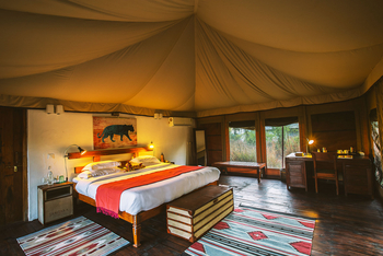 Jamtara Wilderness Camp: Teppiche, Bett und Schreibtisch