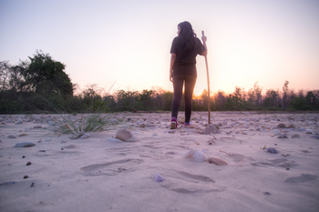 Jim's Jungle Retreat: River Walk