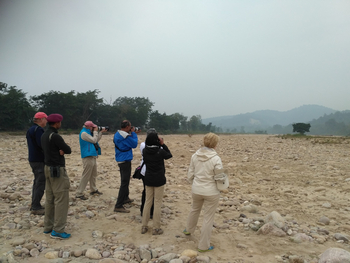 Jim's Jungle Retreat: River Walk