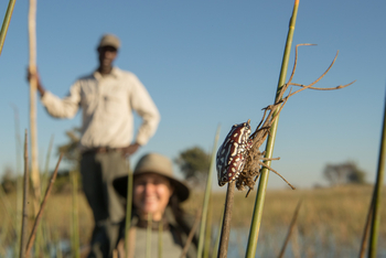 Kala Camp: Mokoro-Tour