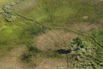 Kanana Camp: Antilopen aus der Luft