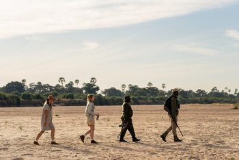 Kokoko Camp: Gruppe bei Naturwanderung