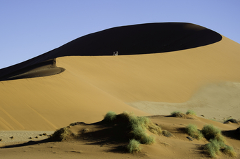 Kulala Desert Lodge: Geführte Wanderung in der Wüste