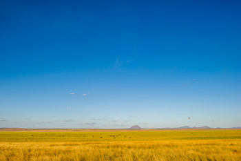 Kuro Tarangire Camp: Silale-Sümpfe
