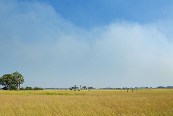 Moanachira Flood Plains: Geführte Wanderung