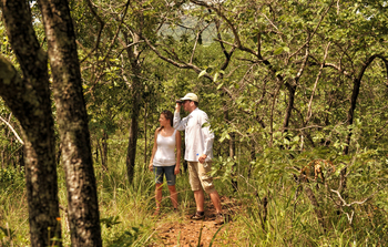 Musangano Lodge: Naturpfad auf dem Gelände
