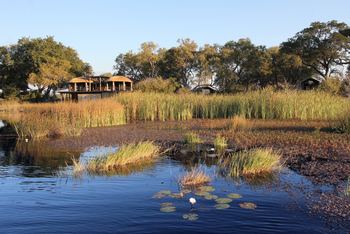 Nkasa Lupala Tented Lodge: Lage am Schilfrand