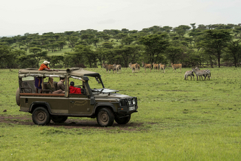Richard's River Camp: Game Drive